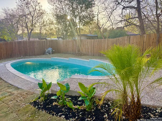 a view of a backyard with plants and tree