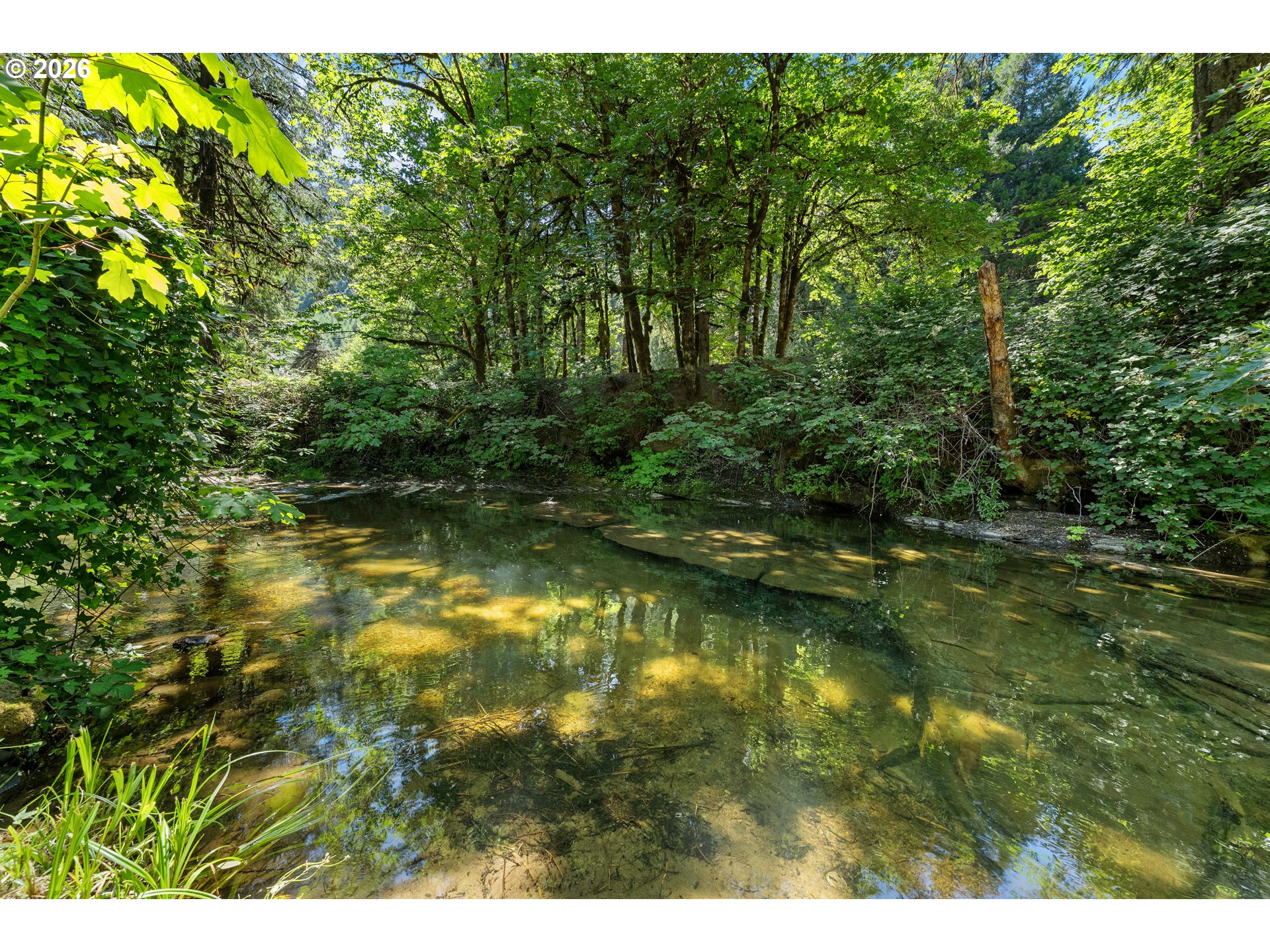 10024 Hubbard Creek Road Umpqua, OR 97486 - Photo 42 of 48