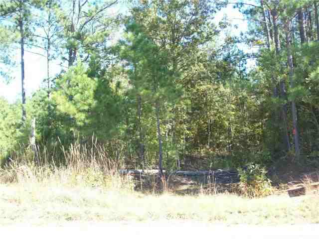 30 Reedy Creek Road Bradley, SC 29819 - Photo 1 of 1
