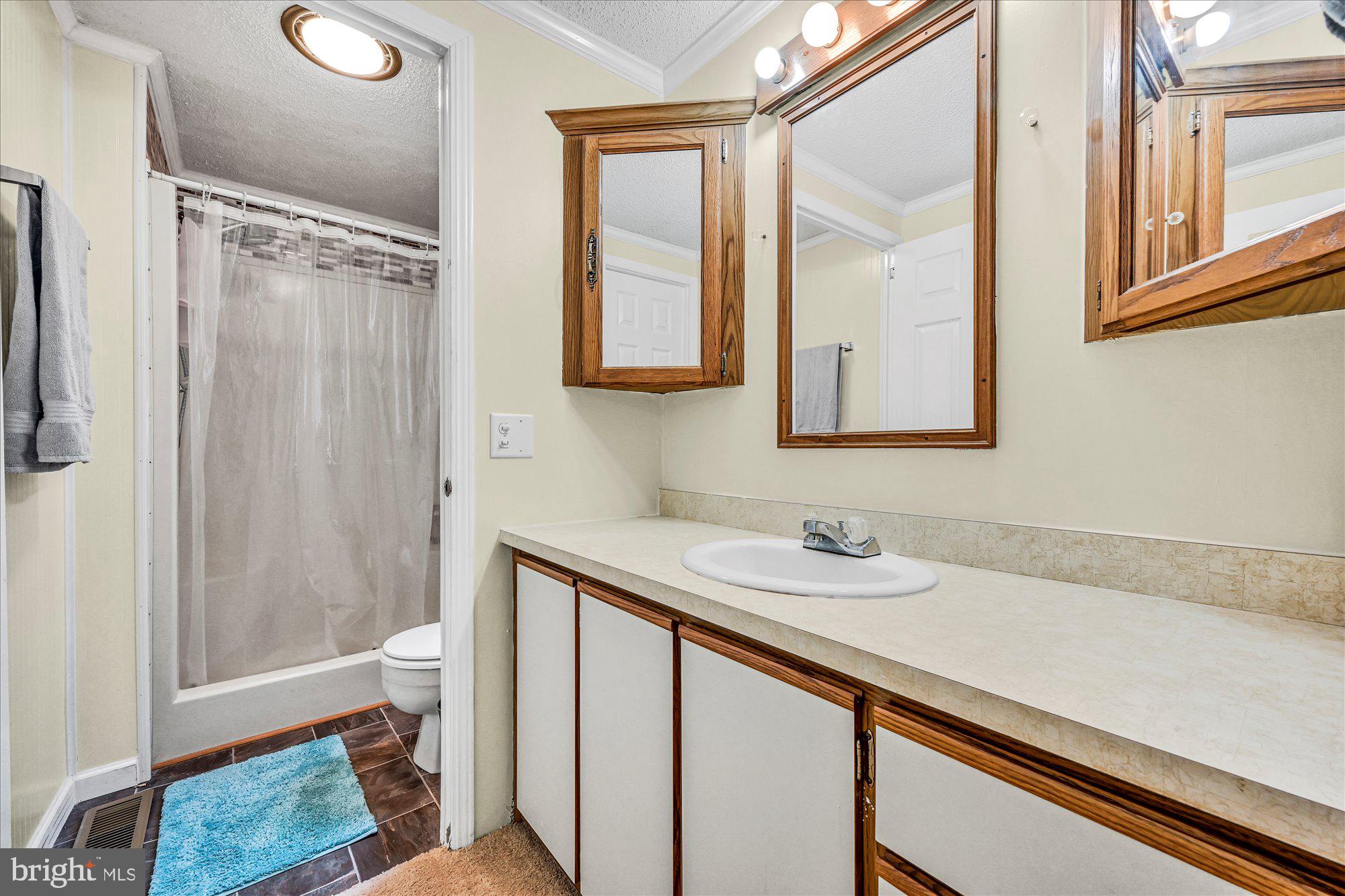 9 Ash Drive Manheim, PA 17545 - Photo 20 of 28 Primary Bathroom