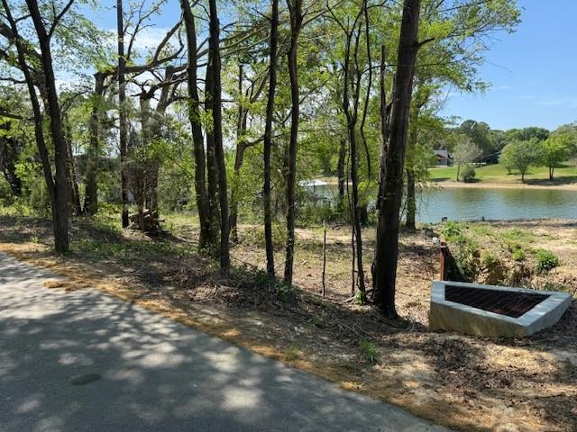 0 Smothers Road Malakoff, TX 75148 - Photo 2 of 4 Streetview