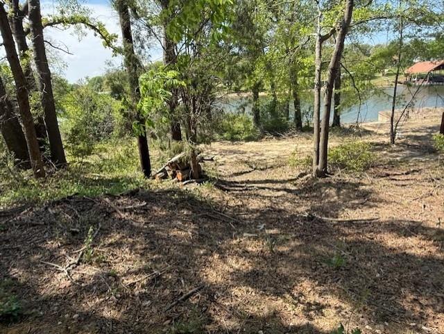 0 Smothers Road Malakoff, TX 75148 - Photo 4 of 4