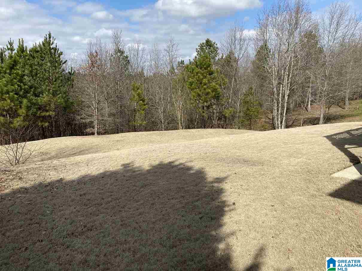 287 Hidden Ridge Drive Odenville, AL 35120 - Photo 10 of 28