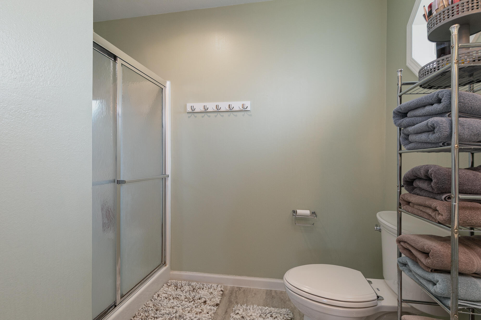 335 South Foster Avenue Springfield, MO 65802 - Photo 17 of 28 7M4A9075 (3)
