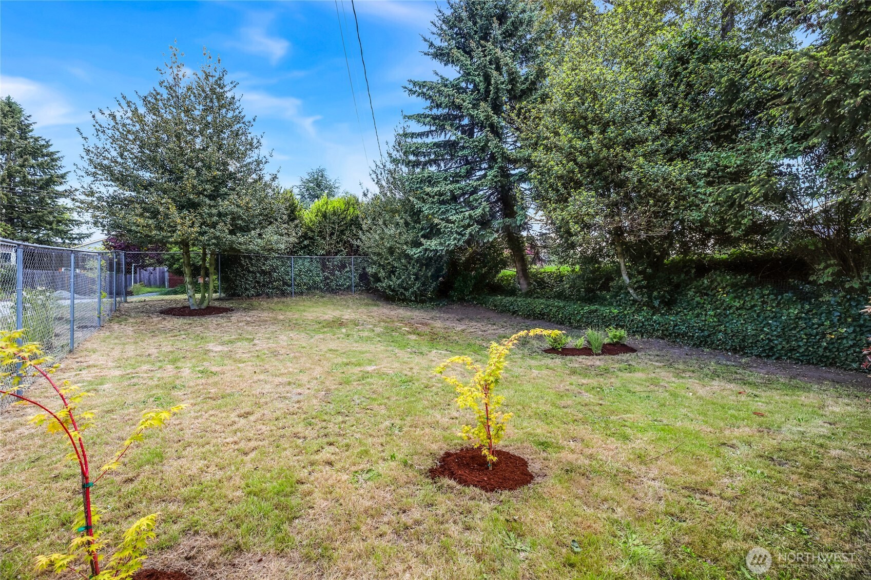 1017 Southwest 106th Street Seattle, WA 98146 - Photo 20 of 39 Gallery Image 20