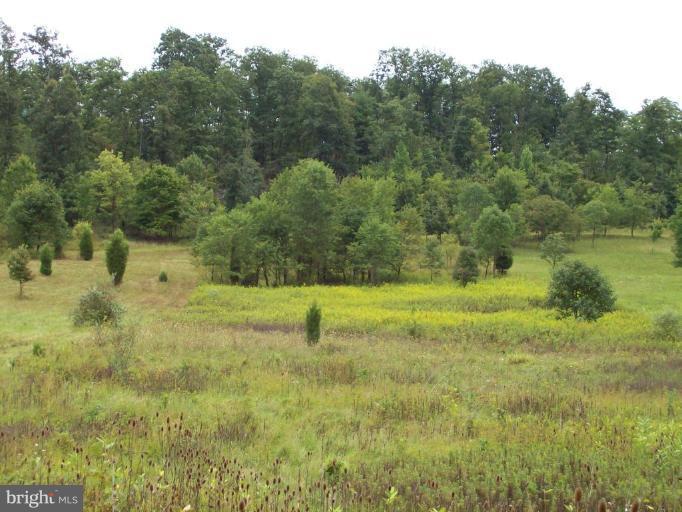12309 Indian Springs Road Clear Spring, MD 21722 - Photo 1 of 1 a view of a yard with a tree
