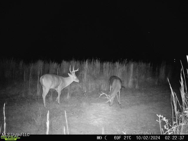 Bill Hubbard Road Braxton, MS 39044 - Photo 14 of 15 IMG_9102