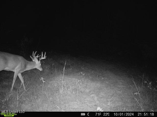 Bill Hubbard Road Braxton, MS 39044 - Photo 15 of 15 IMG_9107