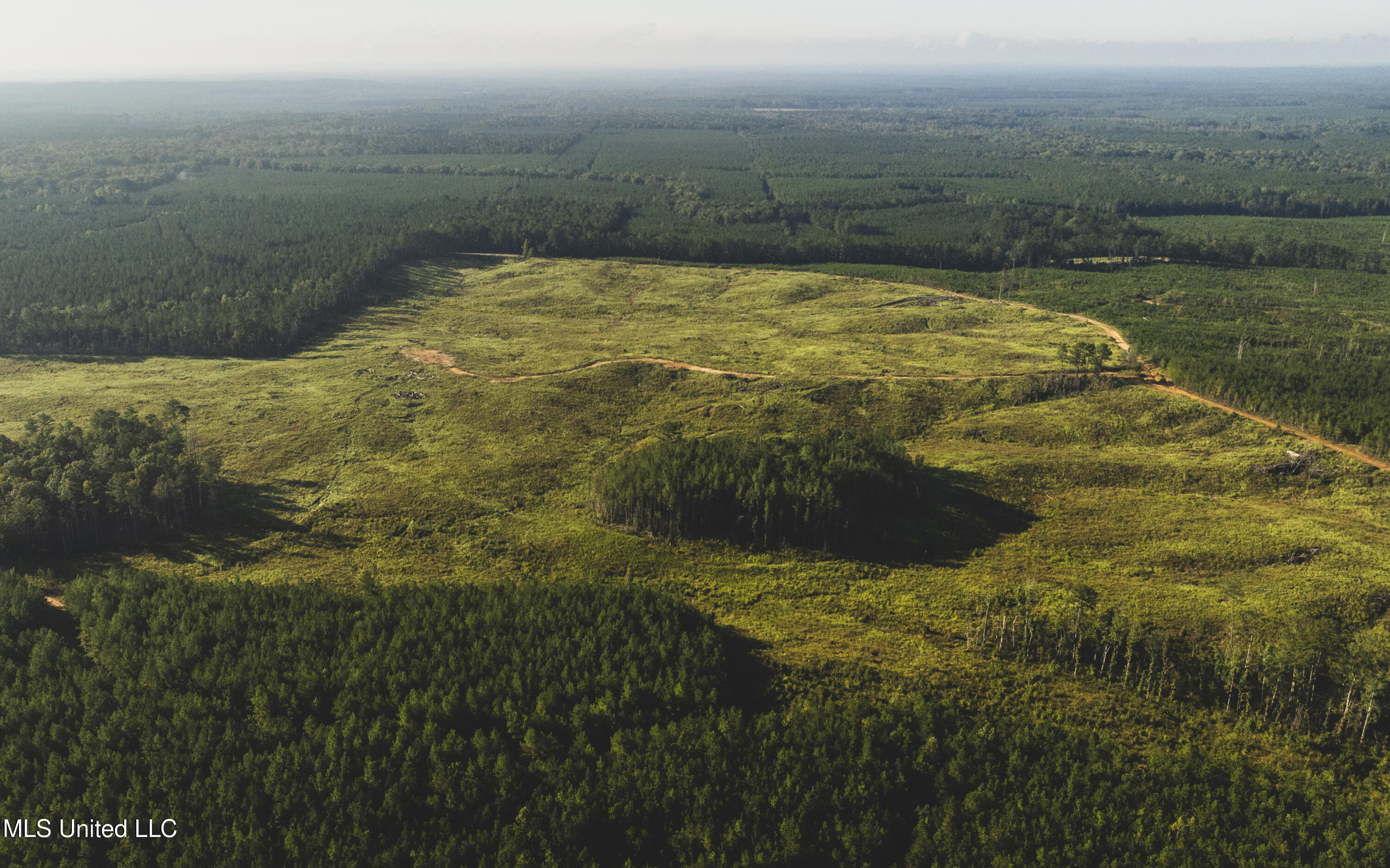 Bill Hubbard Road Braxton, MS 39044 - Photo 3 of 15 dji_0324
