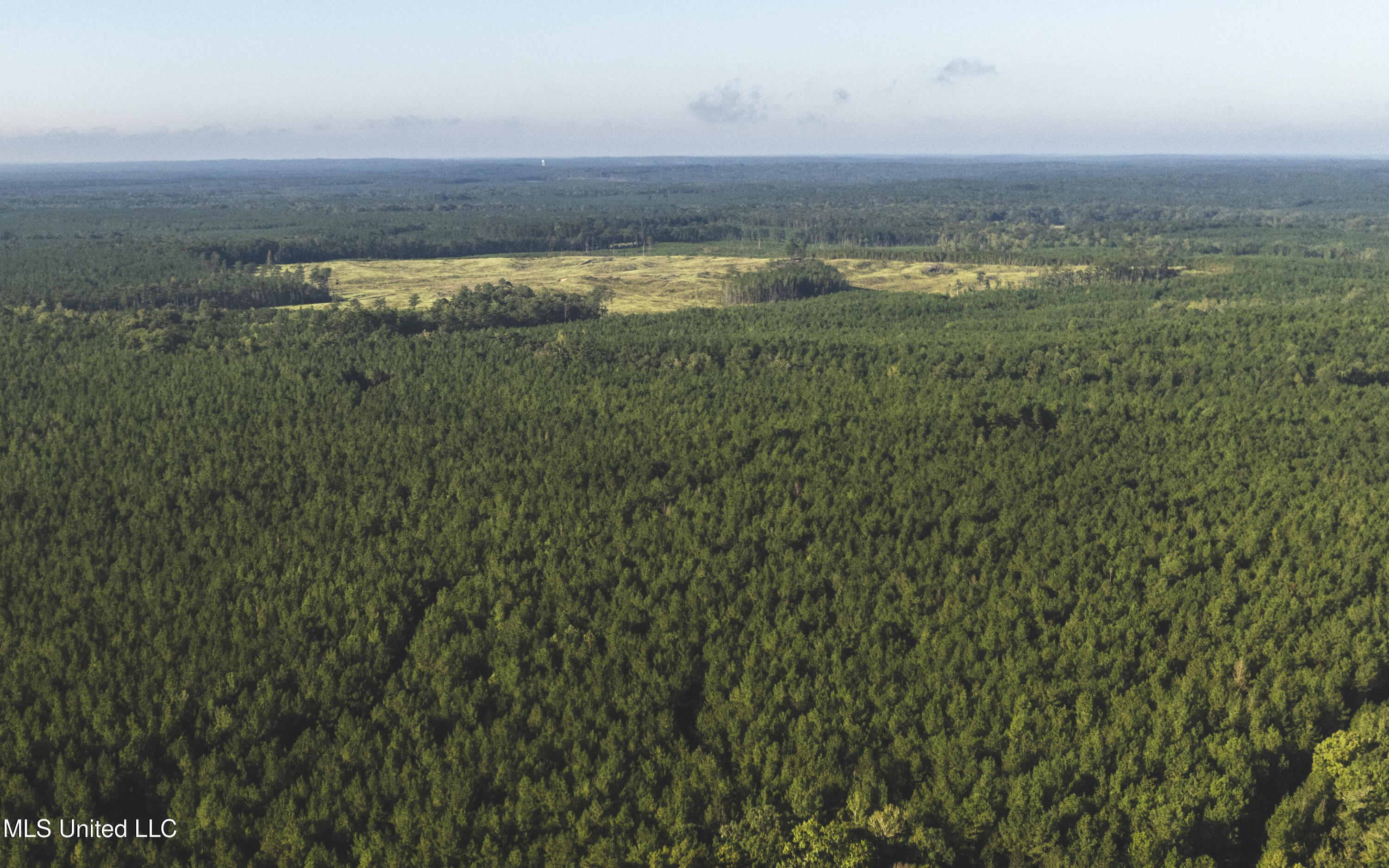 Bill Hubbard Road Braxton, MS 39044 - Photo 4 of 15 dji_0319