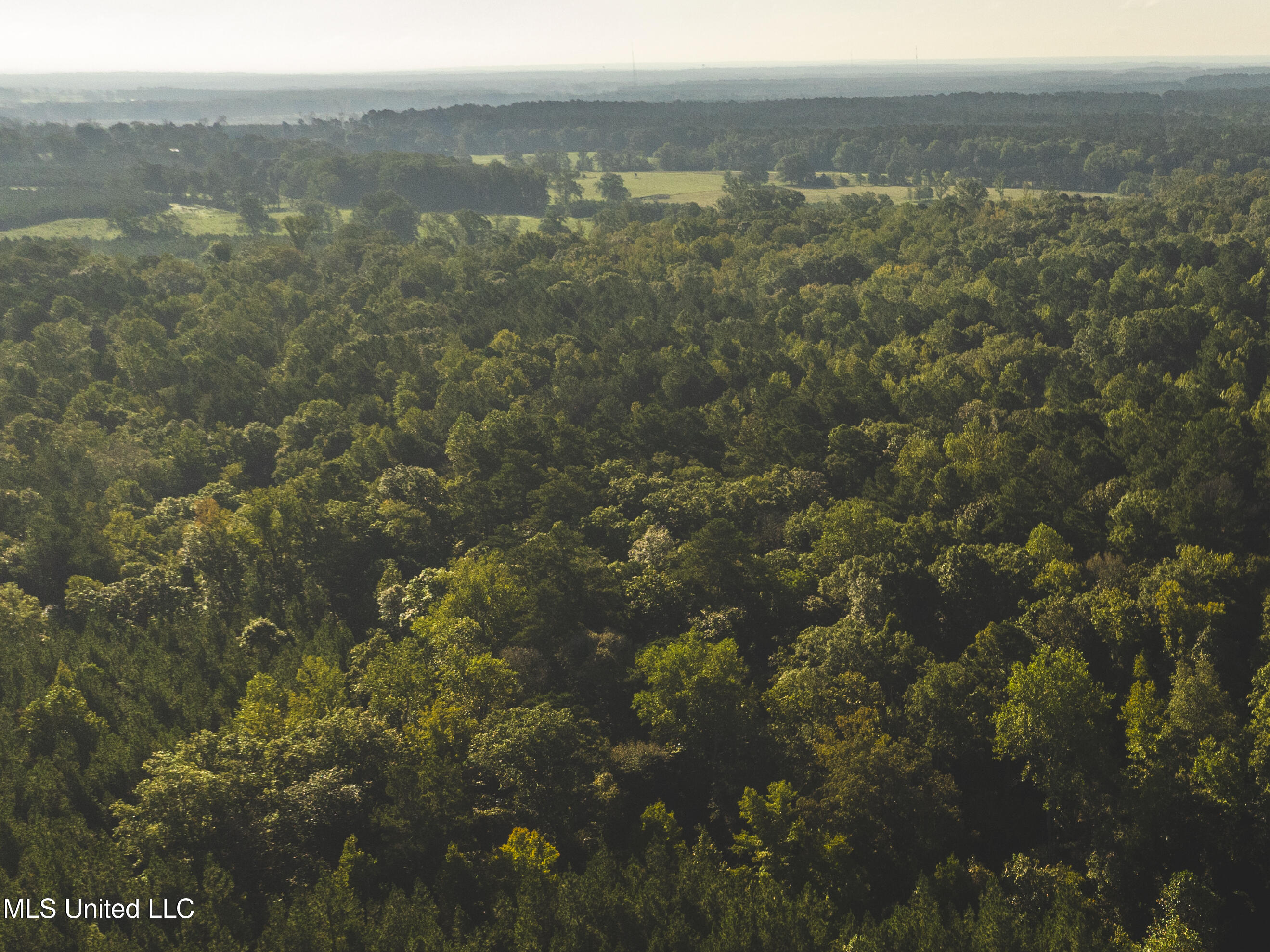 Bill Hubbard Road Braxton, MS 39044 - Photo 5 of 15 dji_0316