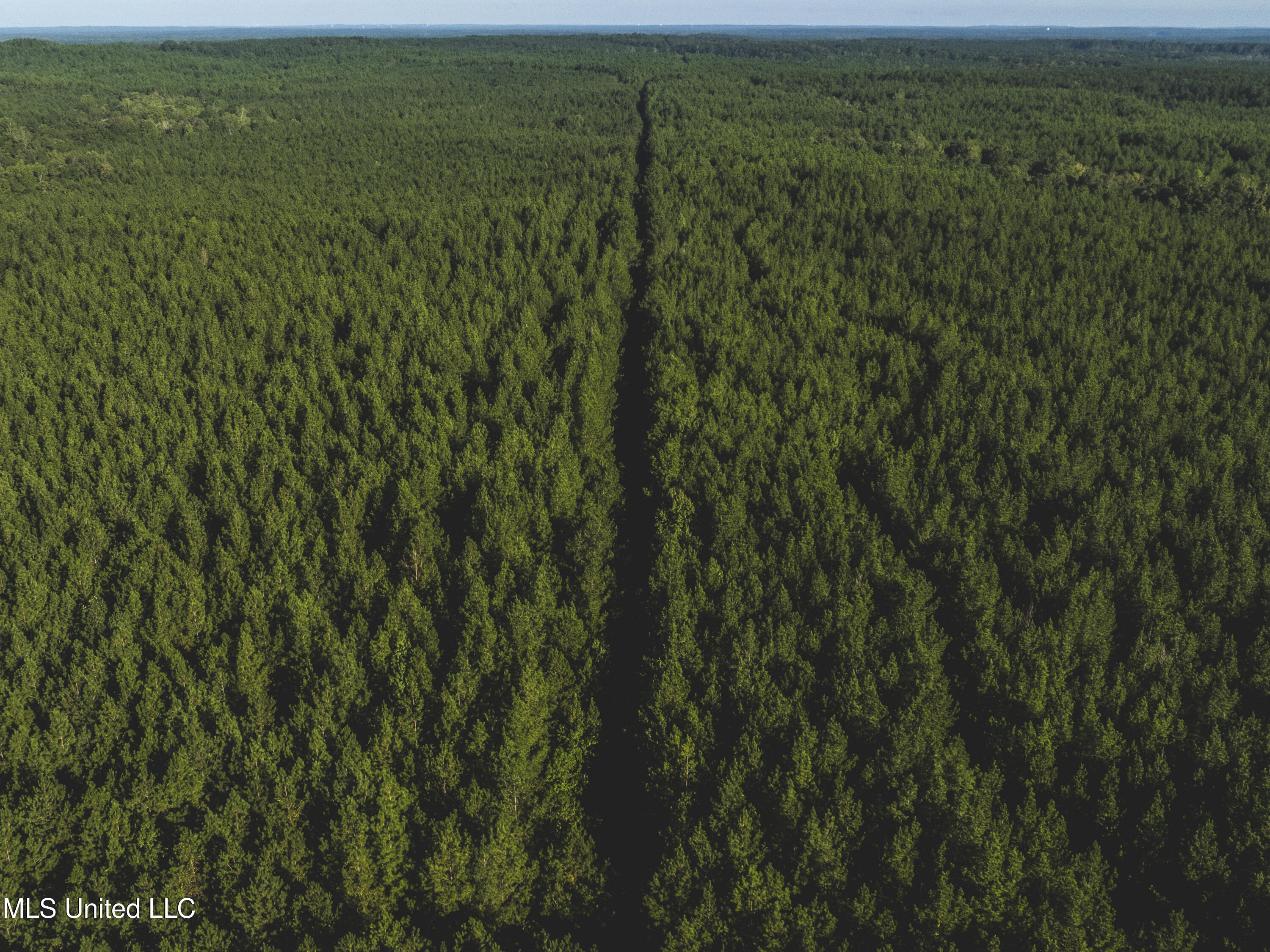 Bill Hubbard Road Braxton, MS 39044 - Photo 6 of 15 dji_0314