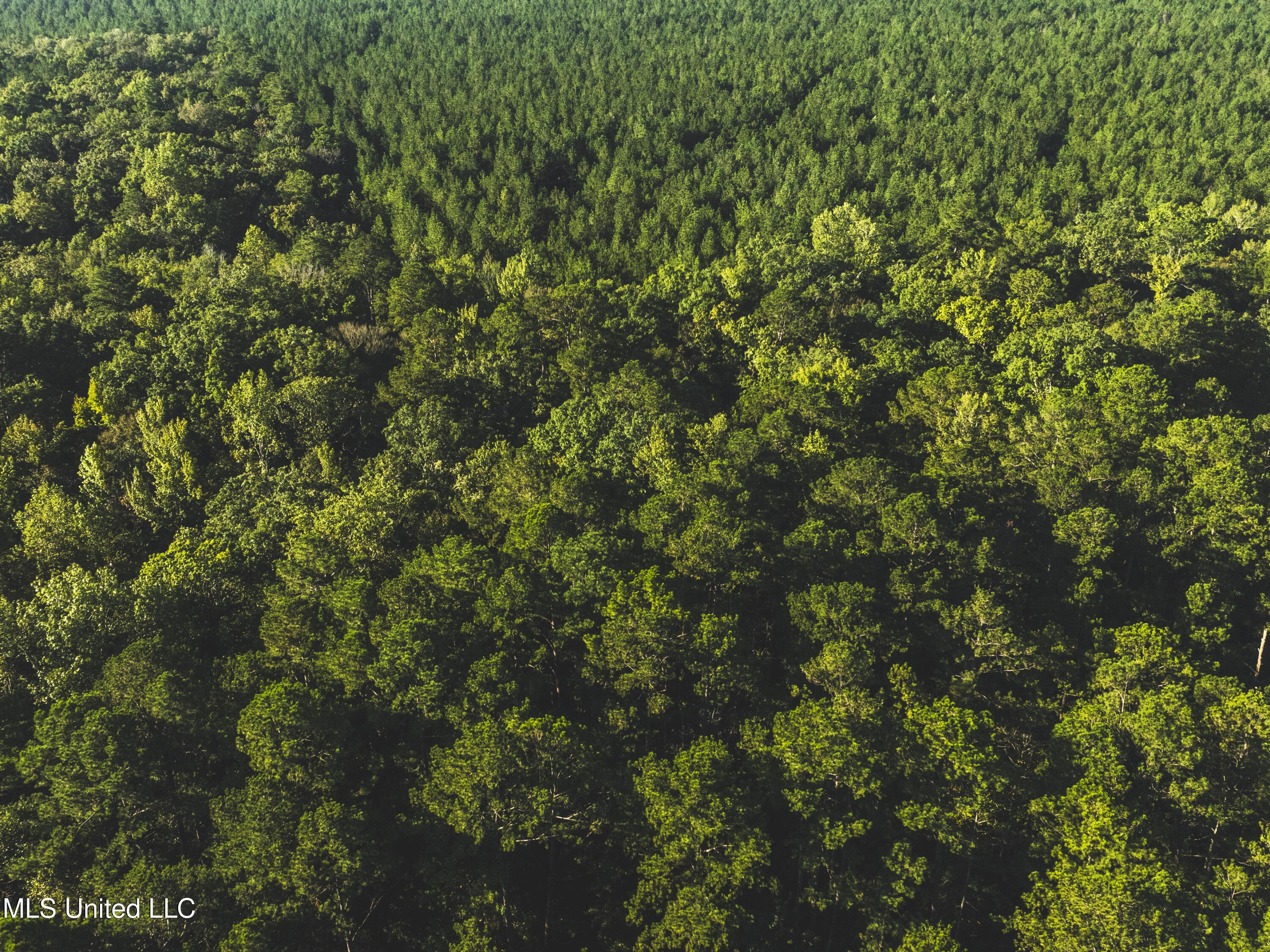 Bill Hubbard Road Braxton, MS 39044 - Photo 7 of 15 dji_0312