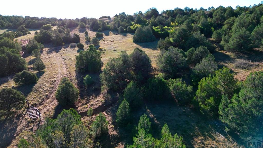 Tbd Bear Creek Road Walsenburg, CO 81089 - Photo 17 of 37
