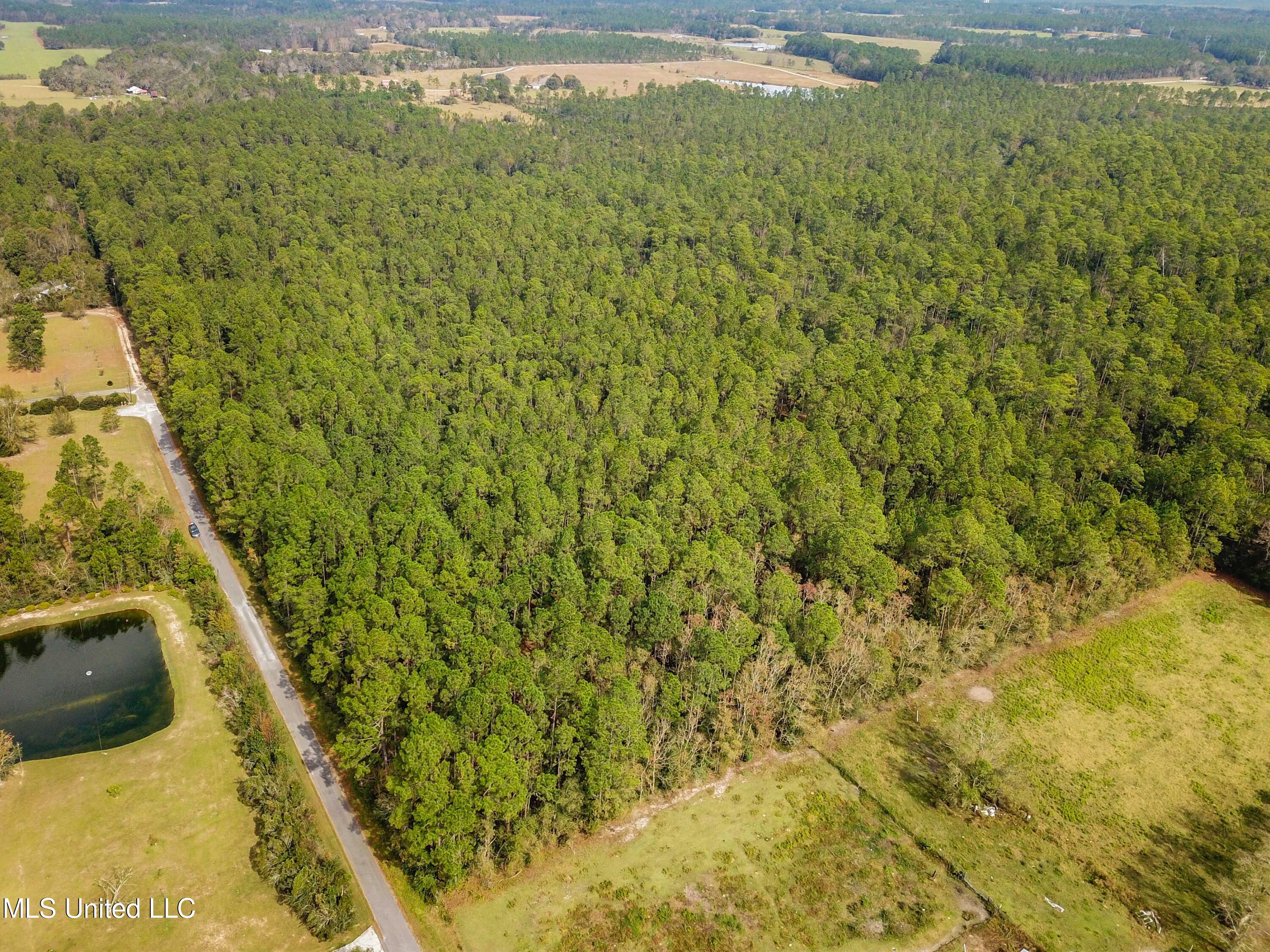 0 Box Road Vancleave, MS 39565 - Photo 11 of 12 011