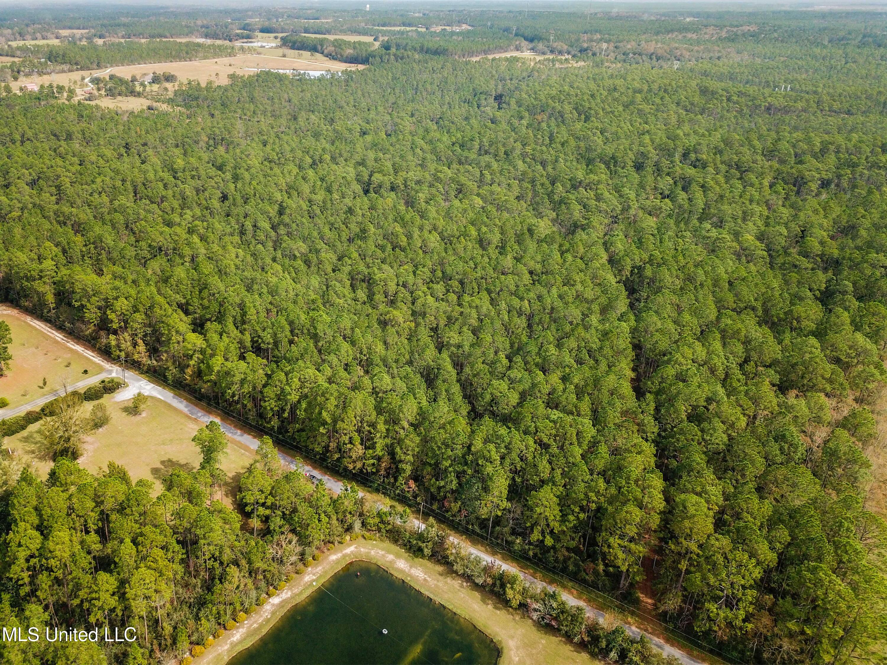 0 Box Road Vancleave, MS 39565 - Photo 12 of 12 012