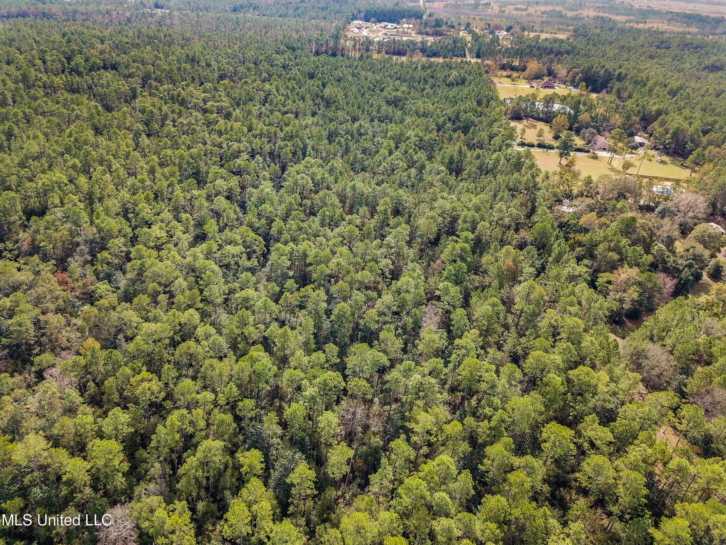0 Box Road Vancleave, MS 39565 - Photo 4 of 12 004