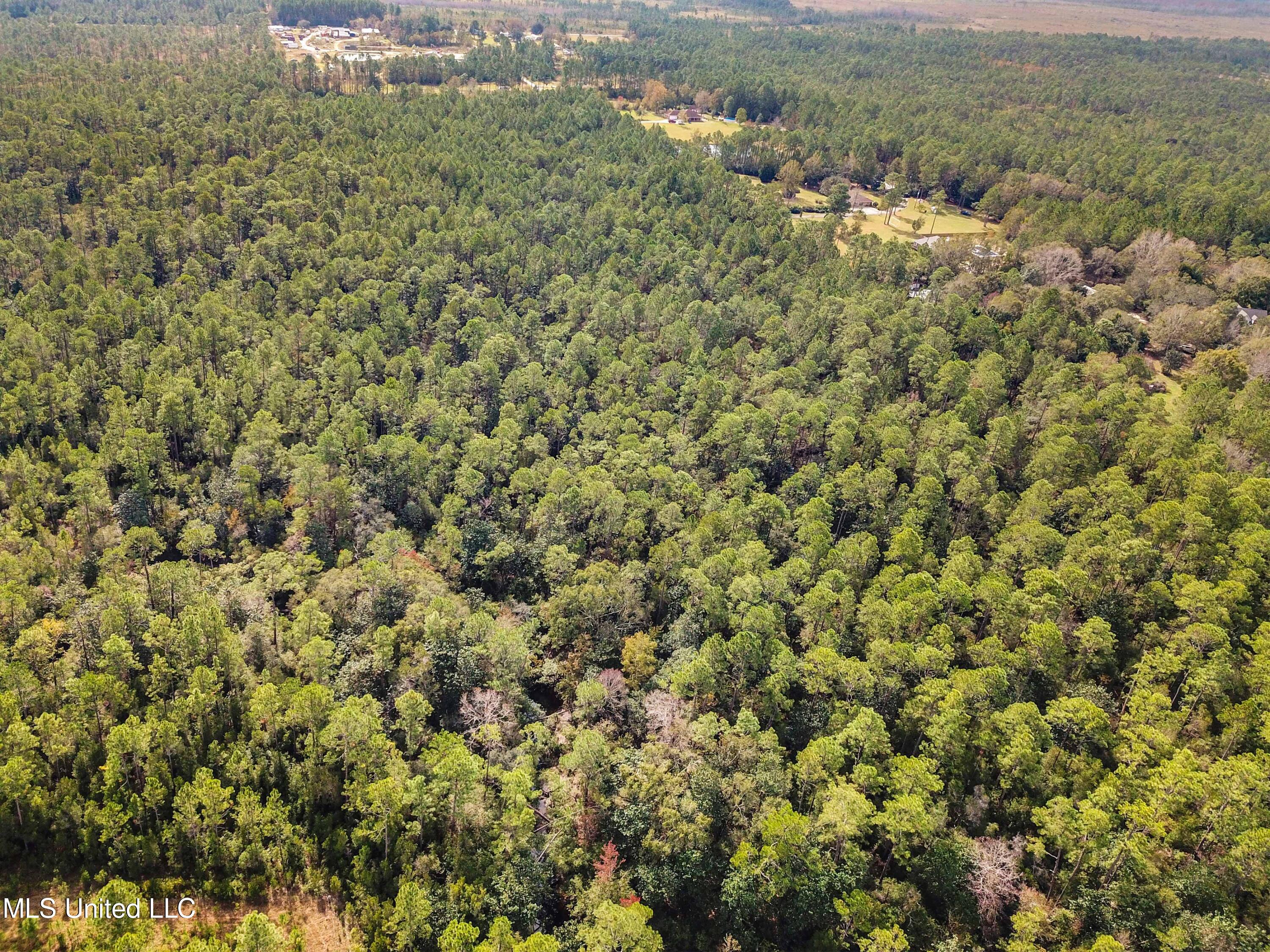 0 Box Road Vancleave, MS 39565 - Photo 5 of 12 005