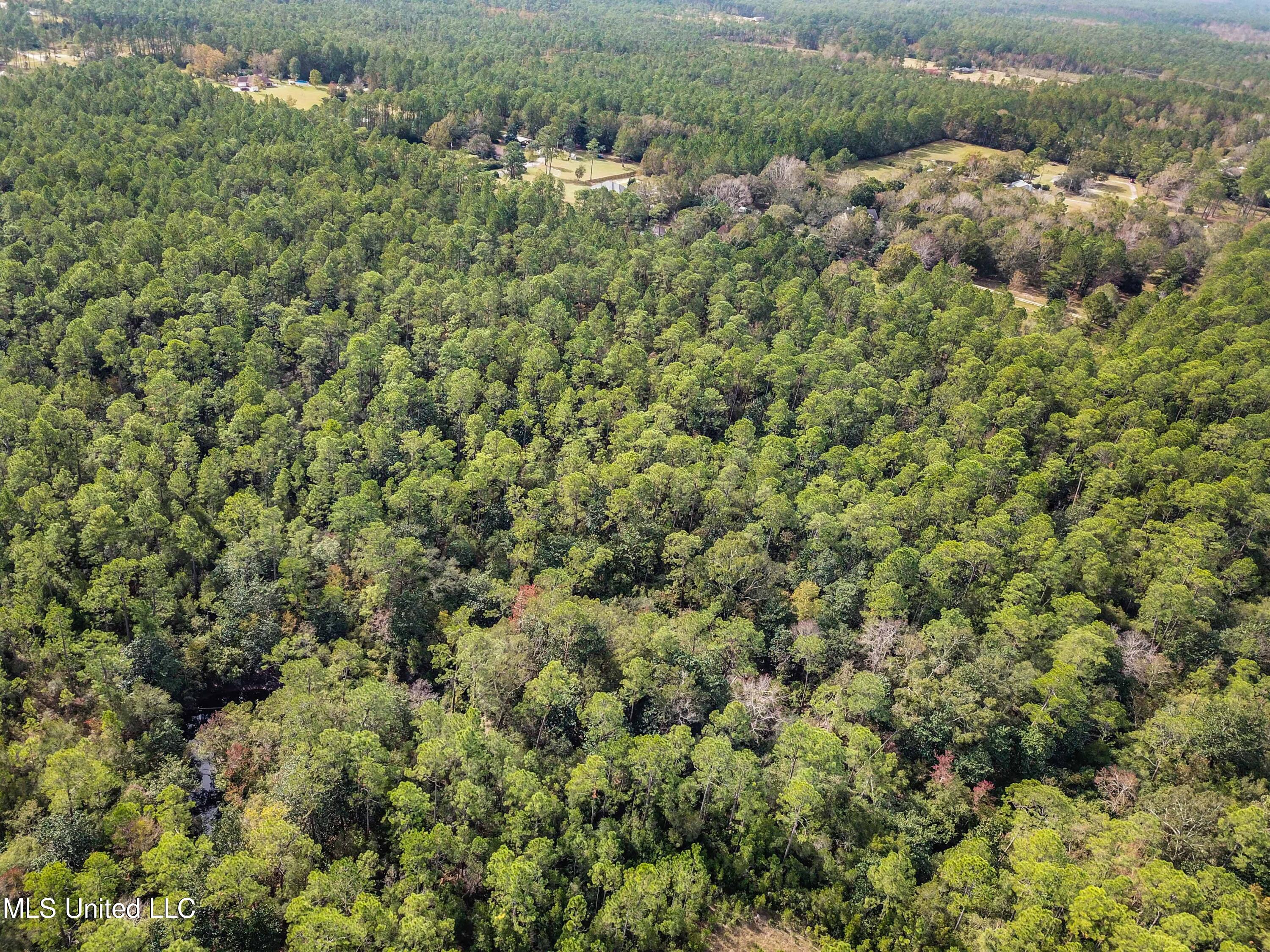0 Box Road Vancleave, MS 39565 - Photo 6 of 12 006