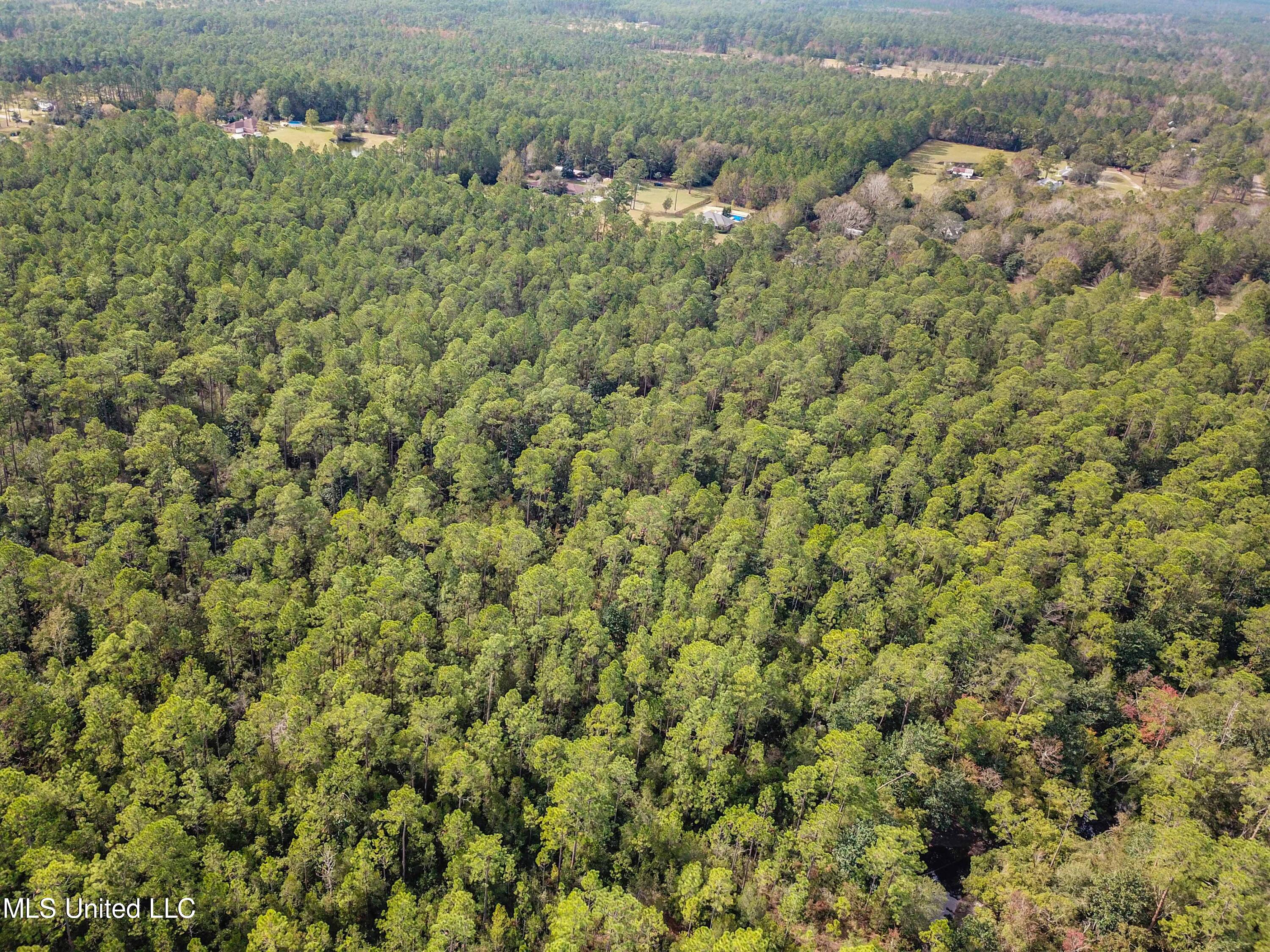 0 Box Road Vancleave, MS 39565 - Photo 7 of 12 007