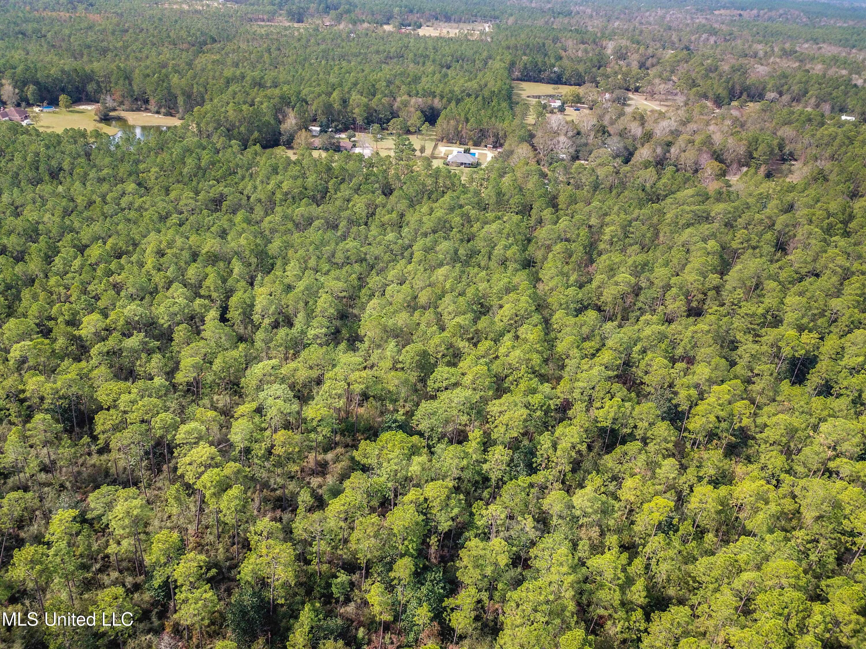 0 Box Road Vancleave, MS 39565 - Photo 8 of 12 008