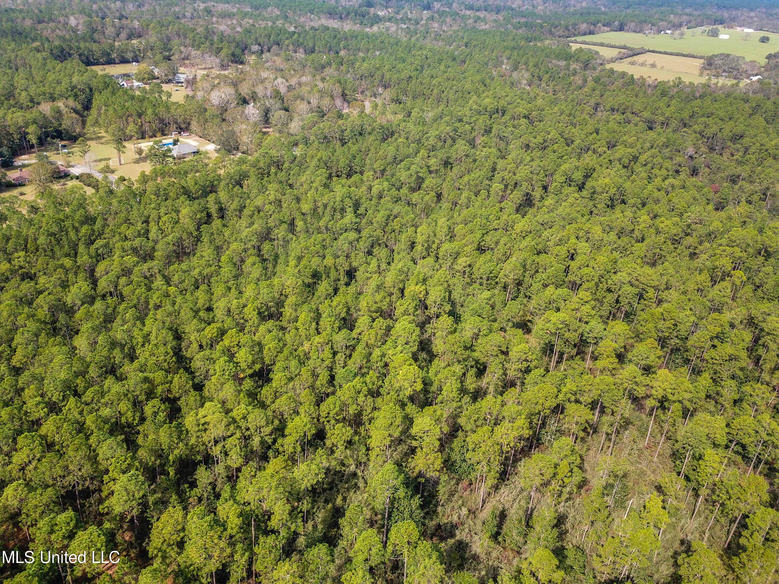0 Box Road Vancleave, MS 39565 - Photo 9 of 12 009