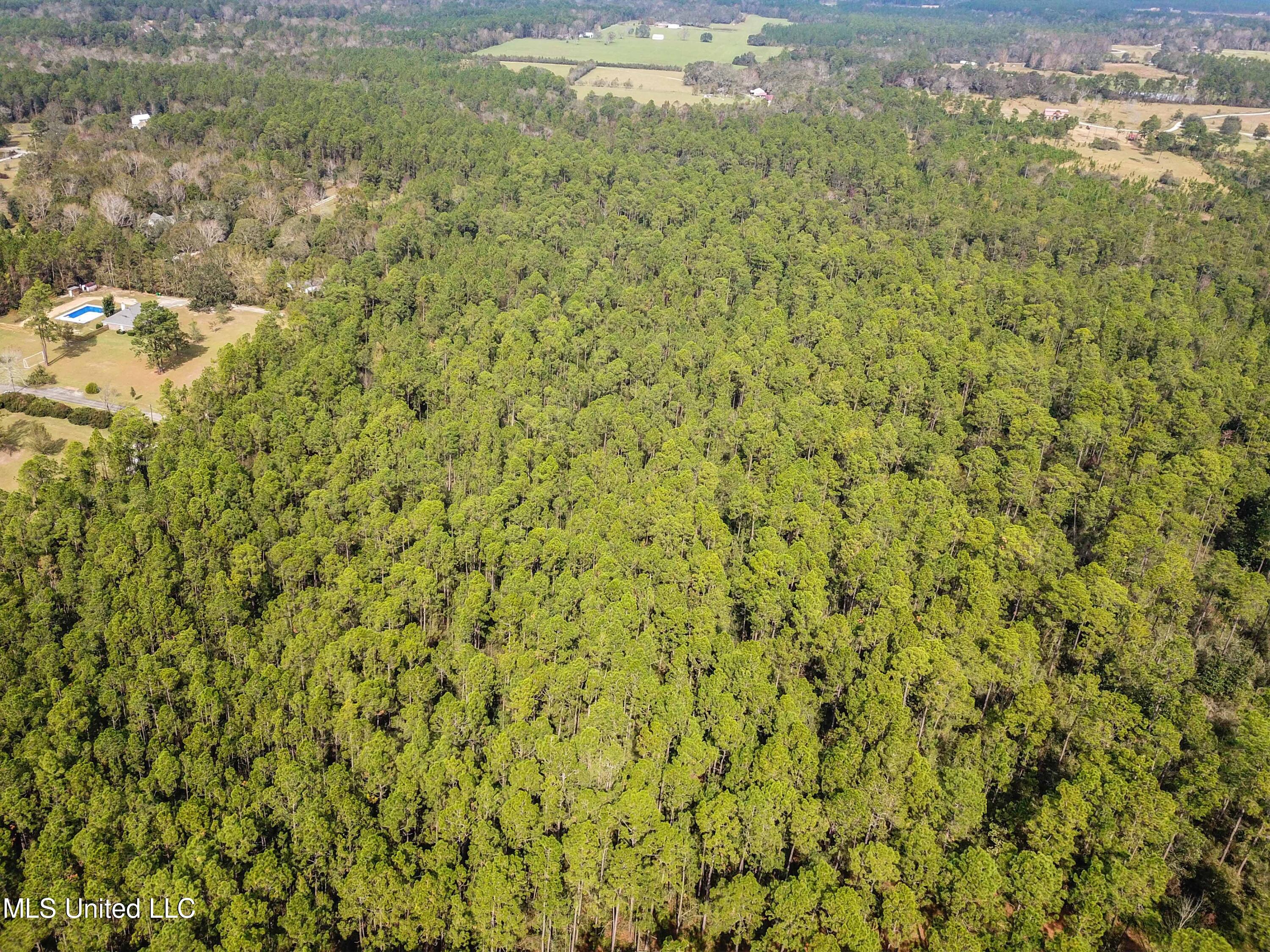 0 Box Road Vancleave, MS 39565 - Photo 10 of 12 010