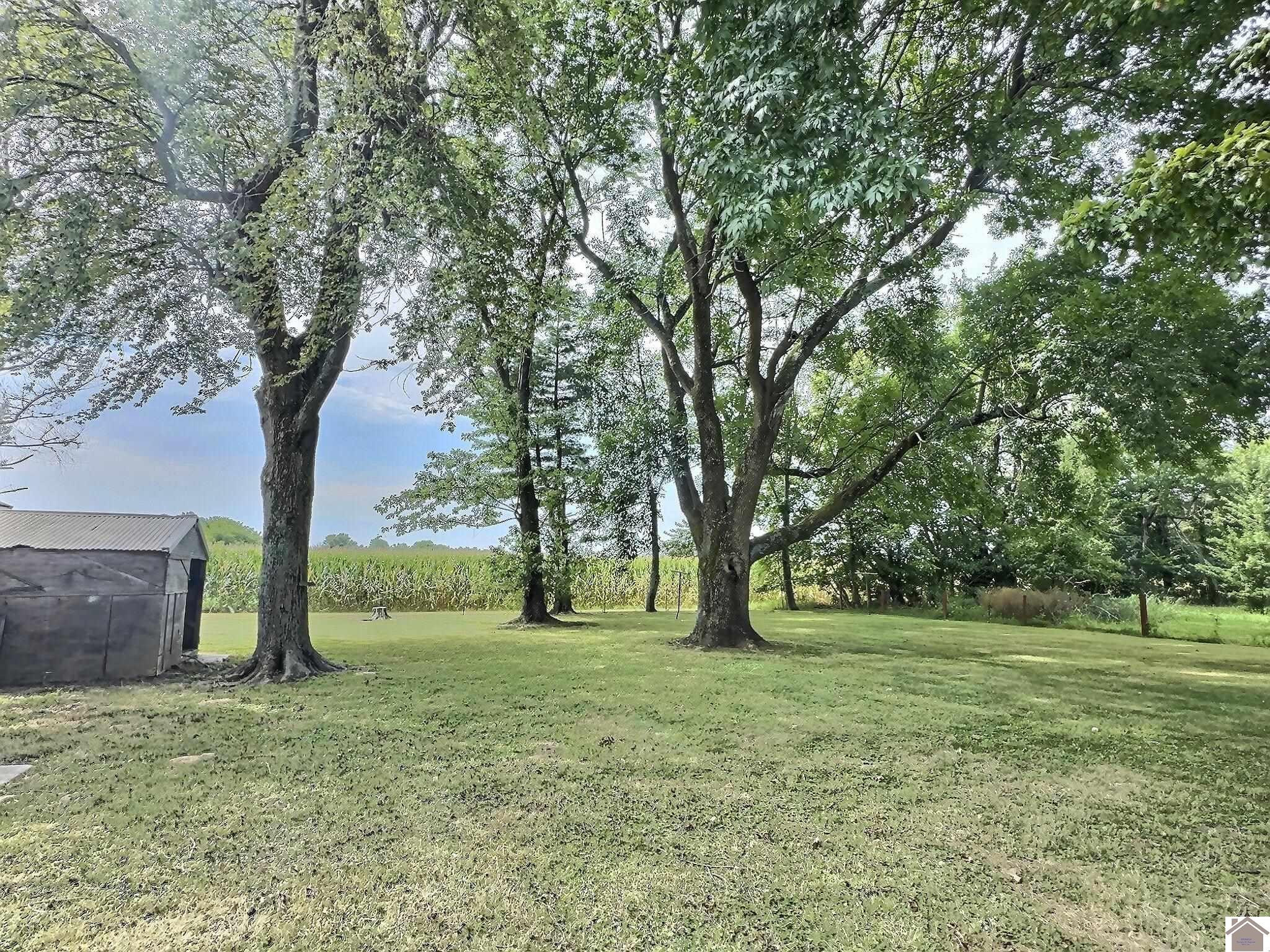 2807 Kirksey Road Murray, KY 42071 - Photo 27 of 27 Photo 27