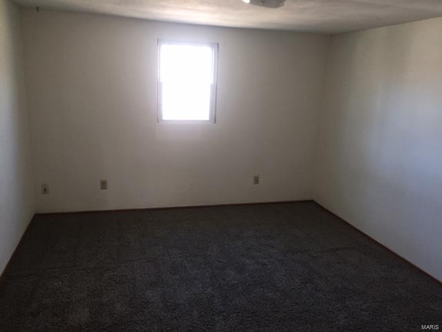 1315 Rixon Street Alton, IL 62002 - Photo 22 of 28 Gallery Image 22
