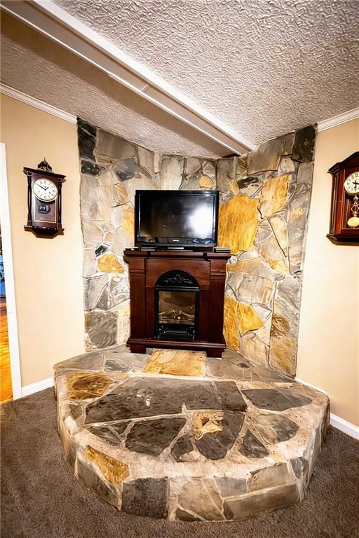 180 Alonzo Cain Road Dahlonega, GA 30533 - Photo 10 of 28 a living room with fireplace and a flat screen tv