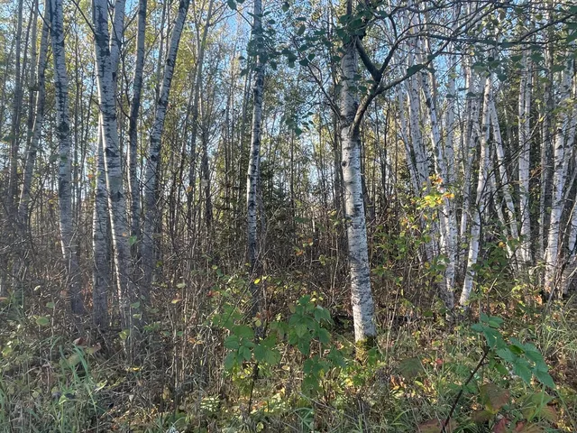 $109,900 | Tbd-4 Oak Leaf Road, Kerrick, MN 55756