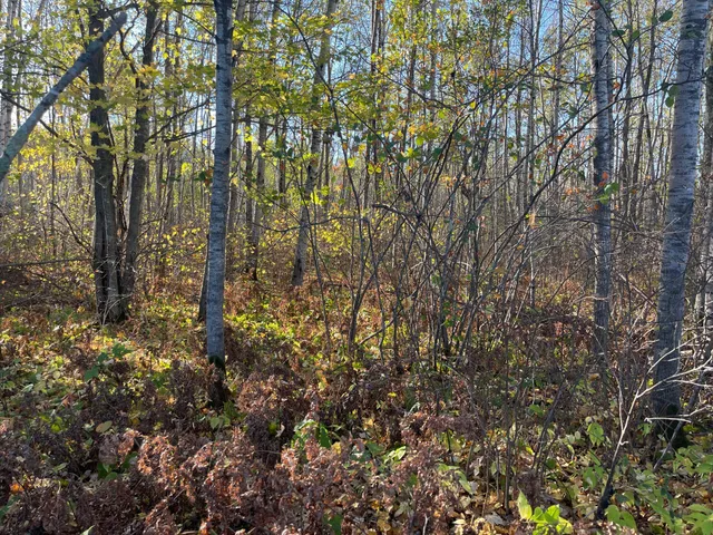 $109,900 | Tbd-4 Oak Leaf Road, Kerrick, MN 55756