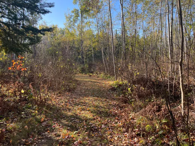 $109,900 | Tbd-4 Oak Leaf Road, Kerrick, MN 55756