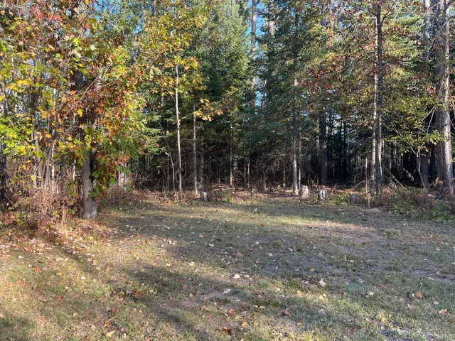 $109,900 | Tbd-4 Oak Leaf Road, Kerrick, MN 55756