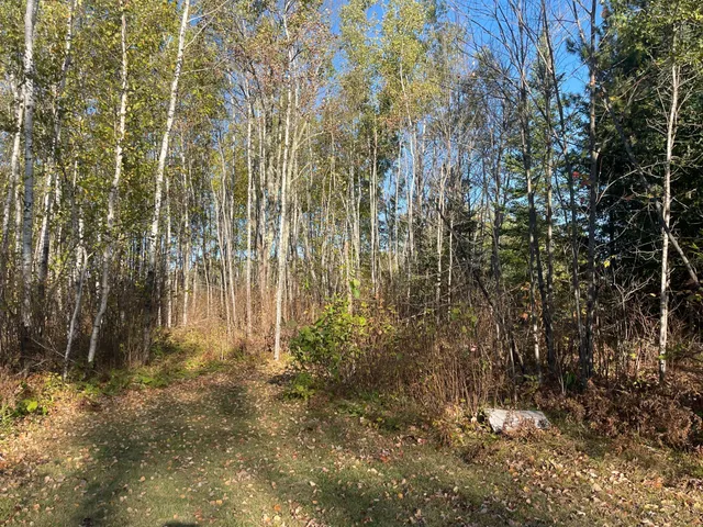 $109,900 | Tbd-4 Oak Leaf Road, Kerrick, MN 55756