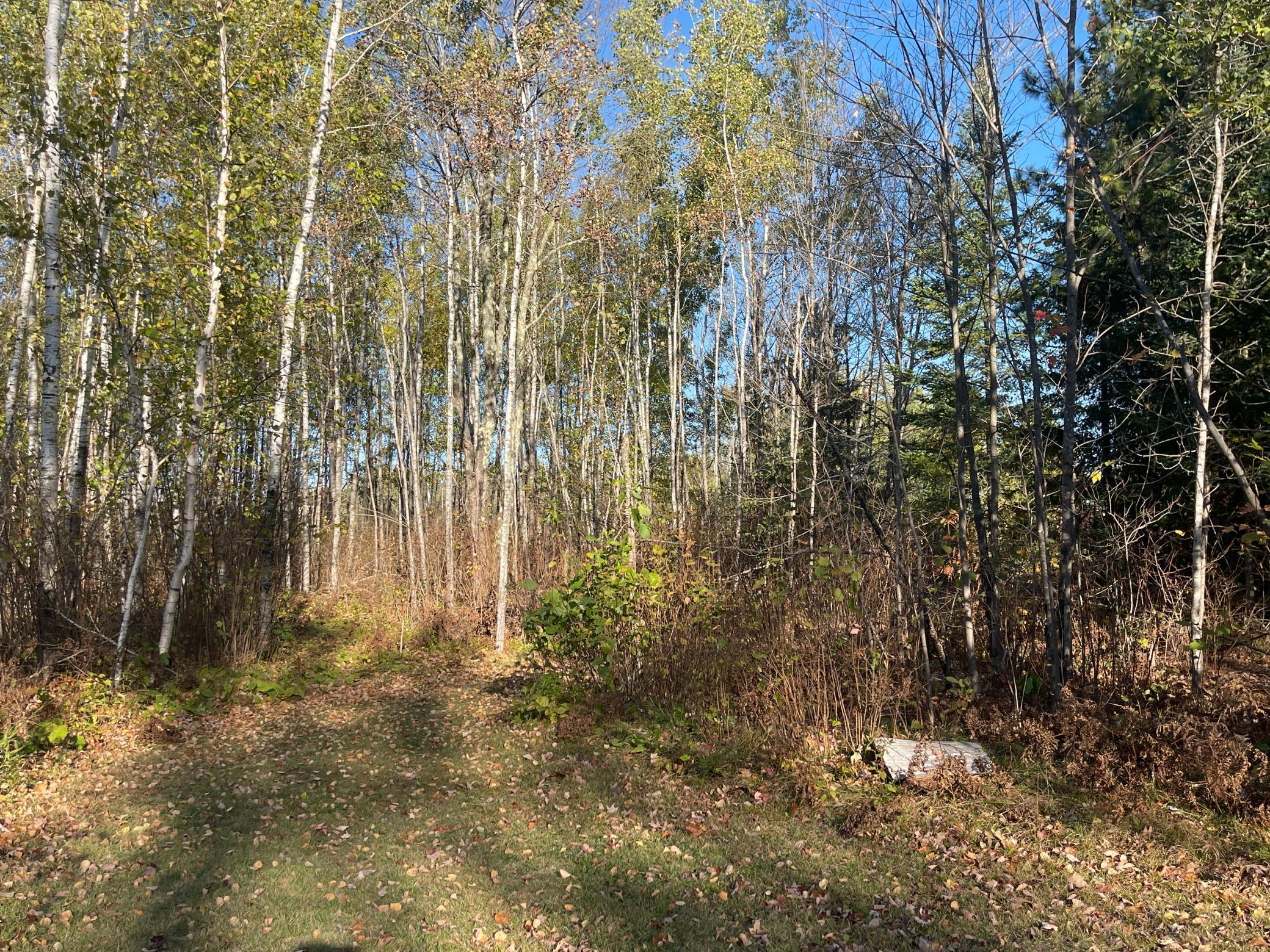 Tbd-4 Oak Leaf Road Kerrick, MN 55756 - Photo 5 of 15