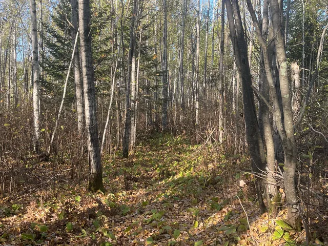 $109,900 | Tbd-4 Oak Leaf Road, Kerrick, MN 55756