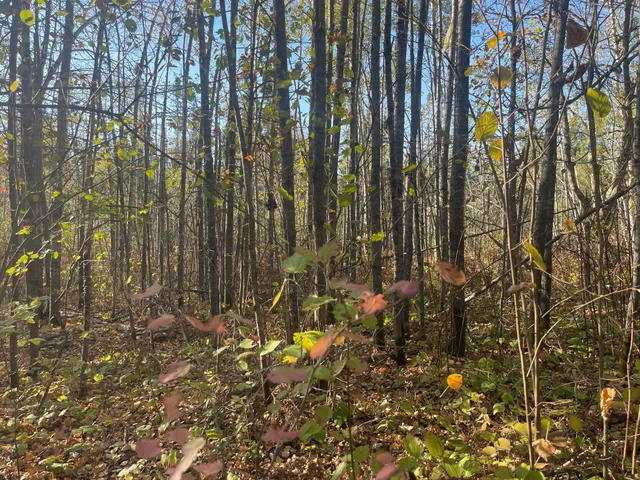 $109,900 | Tbd-4 Oak Leaf Road, Kerrick, MN 55756