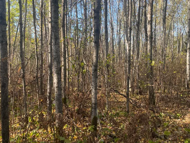 $109,900 | Tbd-4 Oak Leaf Road, Kerrick, MN 55756