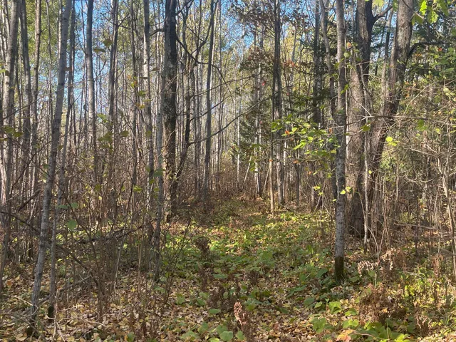 $109,900 | Tbd-4 Oak Leaf Road, Kerrick, MN 55756