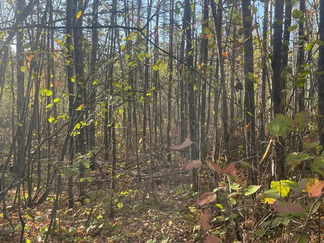 $109,900 | Tbd-4 Oak Leaf Road, Kerrick, MN 55756