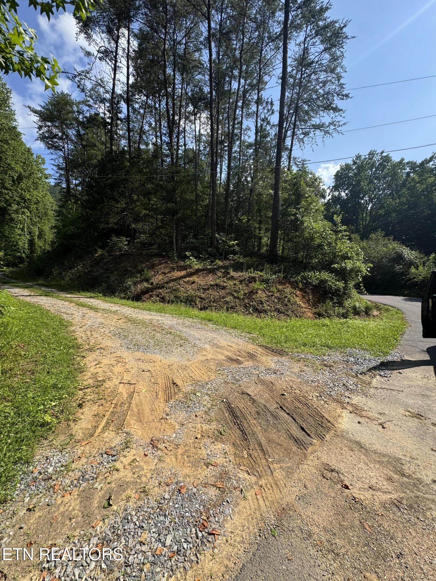 Lot 23 Walden Ridge Road Sevierville, TN 37862 - Photo 2 of 15 IMG_6020