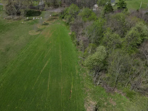 a view of a green yard