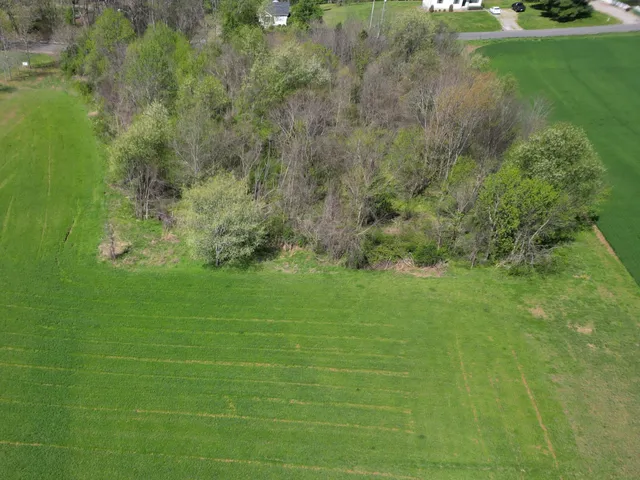a view of a golf course with a lake