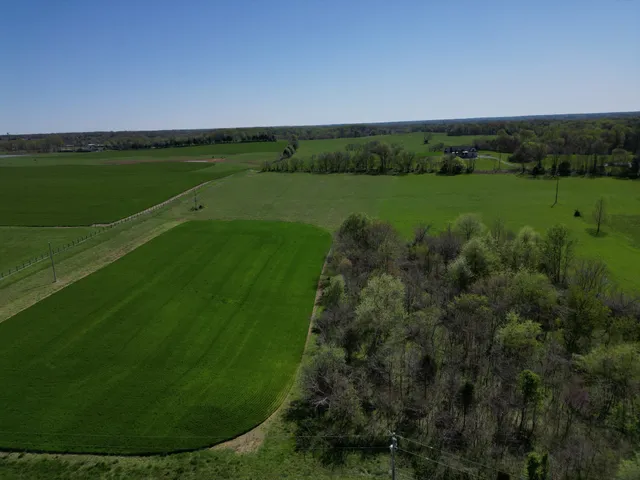 a view of a garden with a building