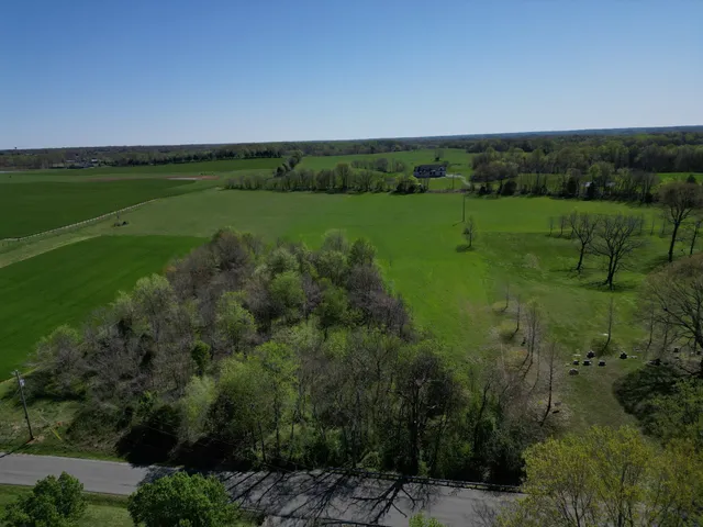 a view of a field with an trees