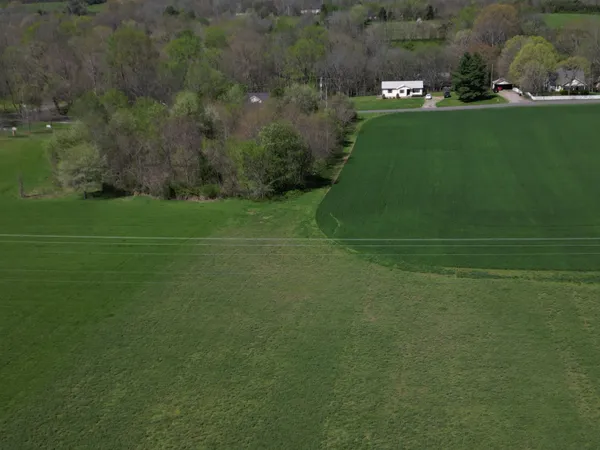 a view of a lush green space