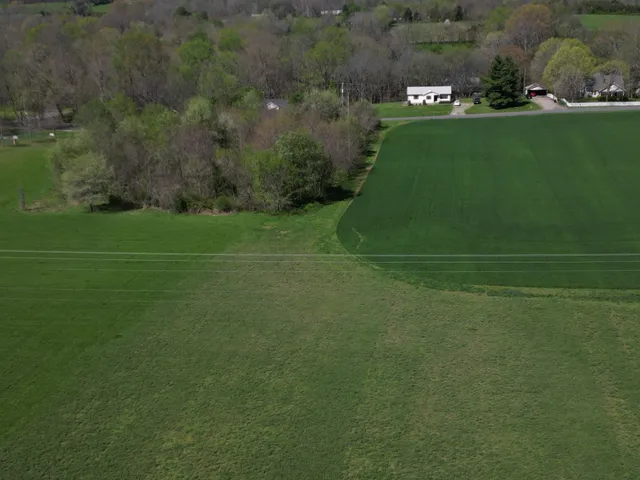 a view of a lush green space