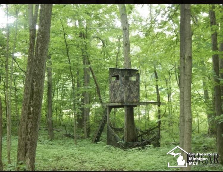 40 West Carleton Road Hudson, MI 49247 - Photo 15 of 25