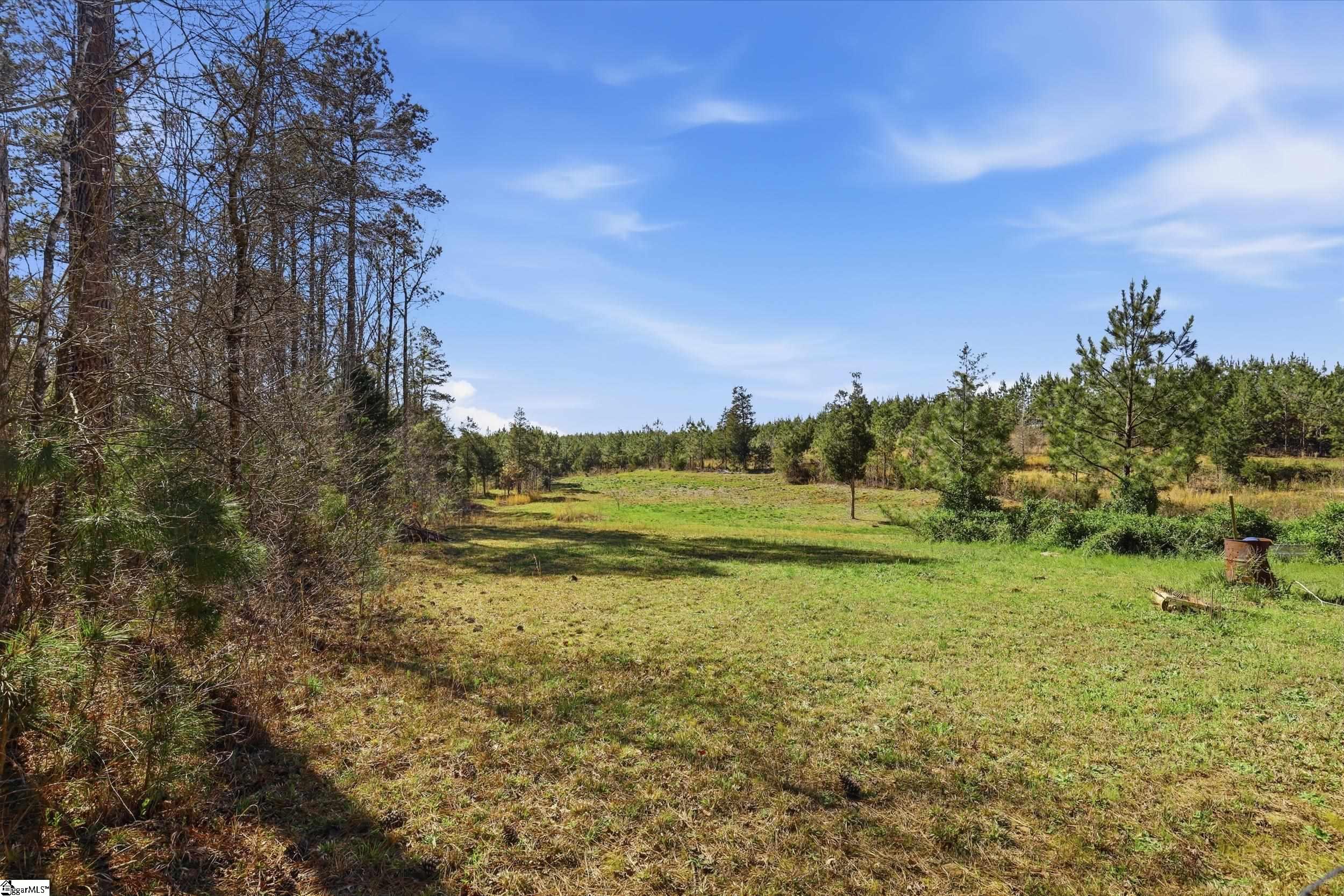 1429 State Rd S-42-423 Enoree, SC 29335 - Photo 27 of 32